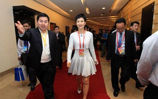 电力一姐李小林-电老虎网