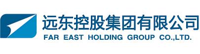 远东控股集团有限公司-电老虎网