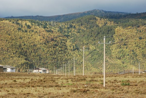 农村电网大面积升级 电缆企业供不应求-电老虎网