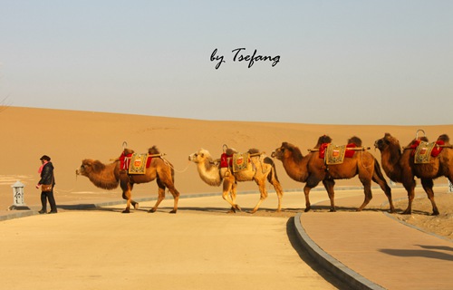 “一带一路”与“容克计划” 中国特高压设备商对接条件成熟-电老虎网