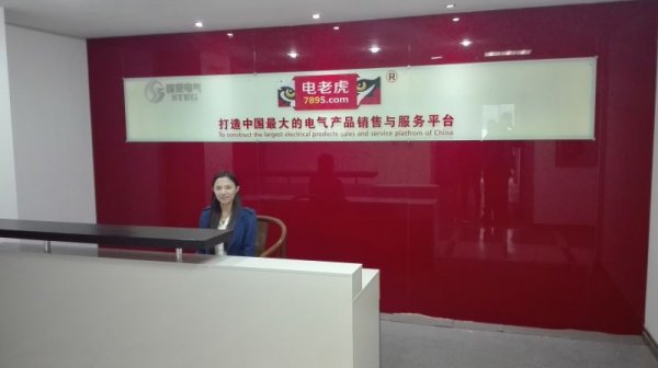 电老虎网南京江北新区总部开始启用-电老虎网