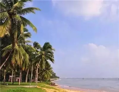 海南文昌东郊椰林——冬天里的椰风海韵-电老虎网