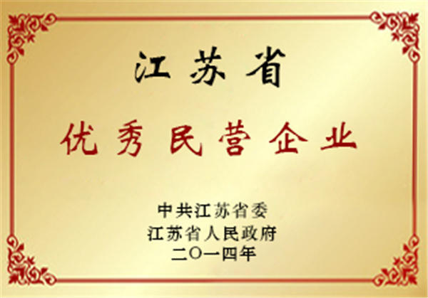 江苏省优秀民营企业-电老虎网
